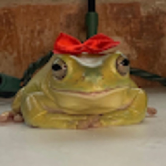 Meet your Posher, Abigail - Picture 1 of 1